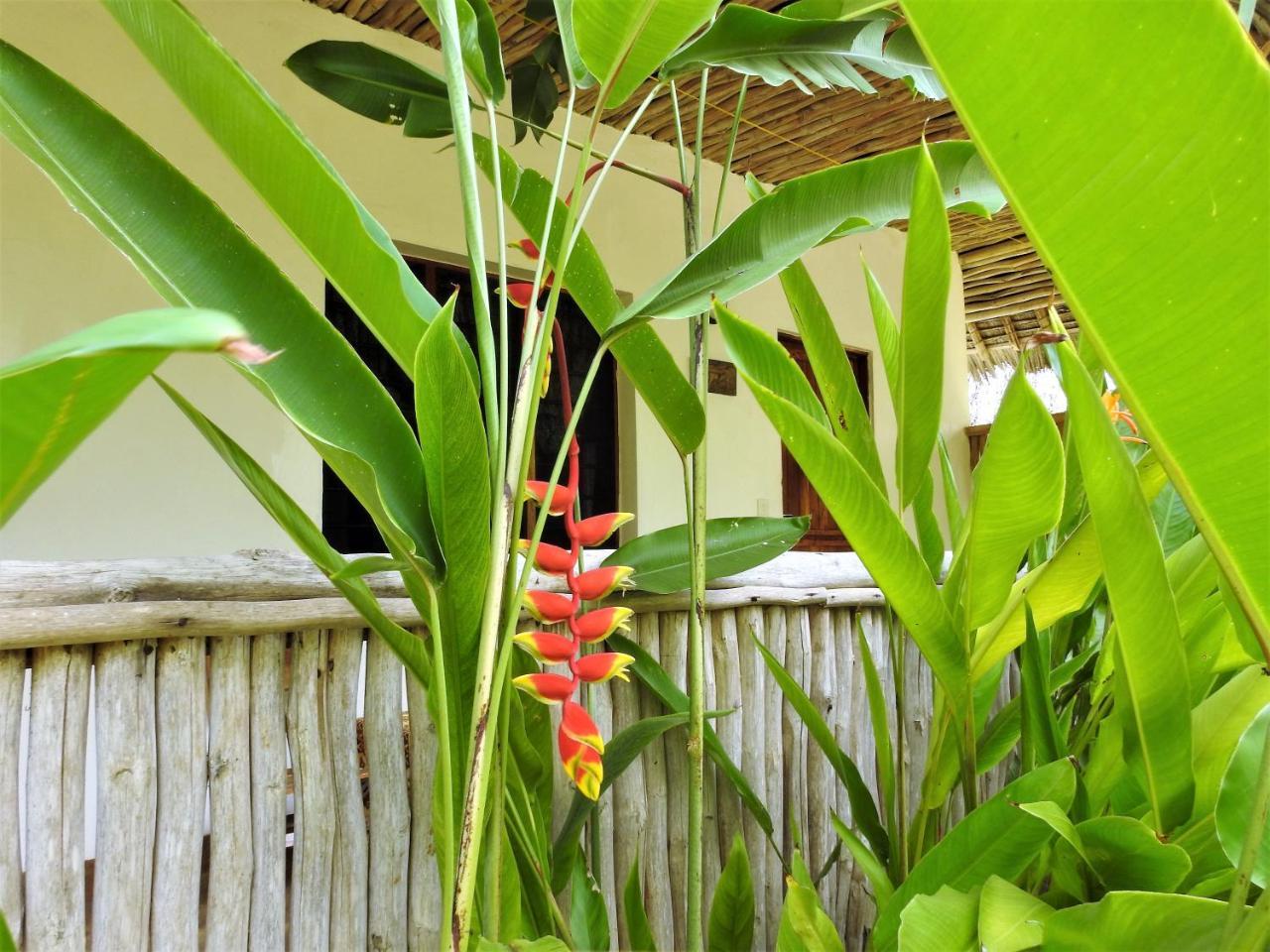 Sheba Cottages - Diani Beach Exterior photo